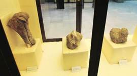 Fossils, Masol, delayed paperwork, excavation sites, ASI, SAAR, CNRS, archaelogy, Mohali news, India news