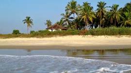 goa, beach shacks, goa beach shacks, goa shacks, shacks, goa beaches, goa coast, goa tourism, NGT, National Green Tribunal, goa news, goa, india news