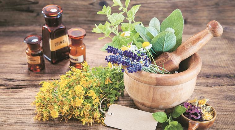 Diet diary: The immense power of medicinal plants | Health News - The  Indian Express