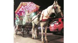 Victoria carriage, Victoria carriage mumbai, Victoria carriage ride, Victoria carriage bombay, horse carriages, horse carriages mumbai, horse carriages bombay