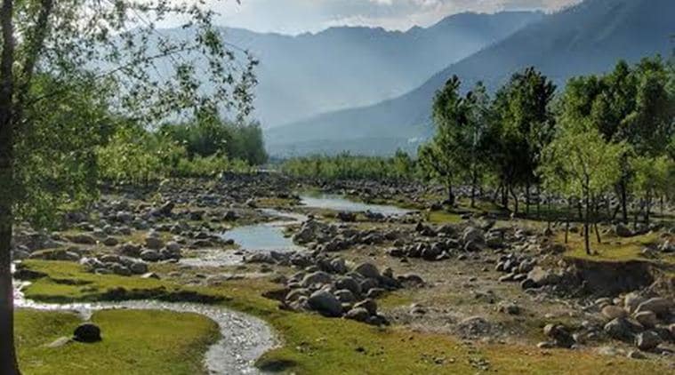 kashmir, kashmir artist, aamir wani, kashmir artist aamir wani, kashmir violence, kashmir paraise on earth, kashmir news, india news