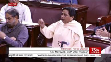Cow Vigilantes, Cow deaths in India, death of cows in India, Cow protectors in India, Cow death issue in India, holy cow in India, India news, India, latest news,