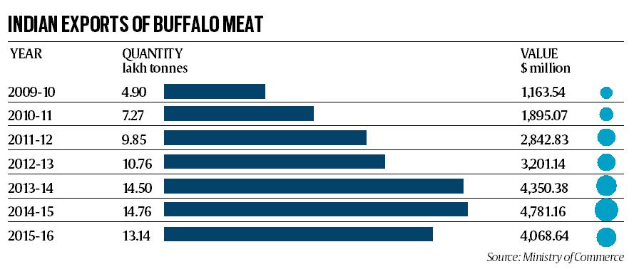 beef ban, india beef ban, BJP, beef export, beef ban India, BJP, India beef exports, beef exports, domestic milk availability, india beef exports, beef exports india, india beef, beef india, bovine meat, bovine meat exports, india news