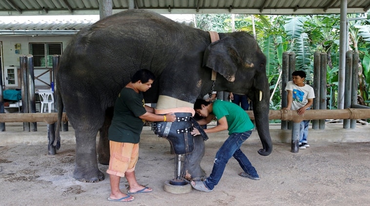 Mosha was wounded after she stepped on a landmine/ Reuters