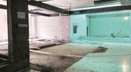 mumbai, mumbai news, mumbai host penguins, humboldt penguins, penguins in mumbai, byculla zoo, mumbai zoo penguin, penguin in mumbai zoo, byculla zoo penguin, indian express news, india news