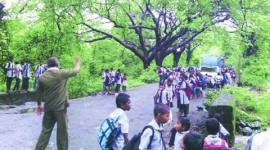 aarey, aarey carshed, aarey carshed programme, aarey colony artefact, india news