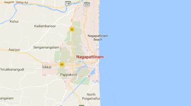 tamil nadu, tamil nadu news, Nagapattinam, Nagapattinam TN, Nagapattinam poaching, Nagapattinam storks poaching, storks poaching, asian open billed storks, sirkazhi forest, indian express, india news