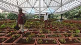 mumbai, dadar, pramod mahajan, pramod mahajan theme park, pramod mahajan kala park, dadar pramod majahan park, water harvesting, mumbai news, maharashtra news