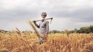 Farm Incomes Dreaming To Double India News The Indian Express