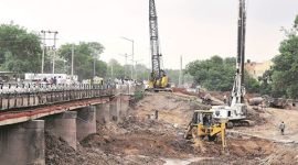 deforestation, tree cutting chandigarh, deforestation chandigarh, chandigarh roads widening, chandigarh development, chandigarh news, india news