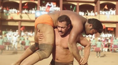 Sultan box office collections, Sultan movie box office collections, Sultan box office records, Salman Khan, Salman khan Sultan, Salman Sultan box office collections, Salman Khan sultan movie collections, Sultan box office Rs. 250 crore, Sultan highest grossing movie, Sultan Biggest hit, Entertainment