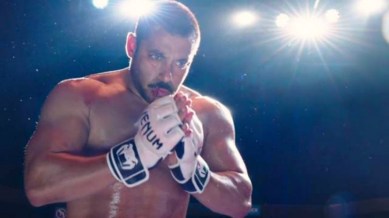 Sultan box office collections, Sultan movie box office collections, Sultan box office records, Salman Khan, Salman khan Sultan, Salman Sultan box office collections, Salman Khan sultan movie collections, Sultan box office Rs. 300 crore, Sultan highest grossing movie, Sultan Biggest hit, Sultan gross india business, Entertainment