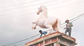 shaktimaan, shaktimaan horse, shaktimaan horse statue, horse statue dehradun, shaktimaan dehradun, india news, latest news