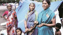 mumbai, solapur, solapur migrants, pardhis, pardhis mumbai, pardhis migrants, mumbai streets, mumbai slums, mumbai migrants, india news