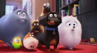 The Secret Life Of Pets movie review, The Secret Life Of Pets review, The Secret Life Of Pets film review, The Secret Life Of Pets, The Secret Life Of Pets movie, Hollywood movie review, movie review, review, movie review of The Secret Life Of Pets movie review, Entertainment