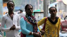 transgenders, himachal pradesh, social security for transgenders, transgender rights, transgender population, third gender