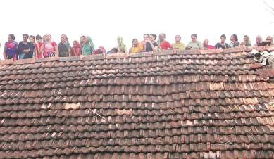Una, Dalits, Dalits in Gujarat, Situation of dalits in India, news, India news,