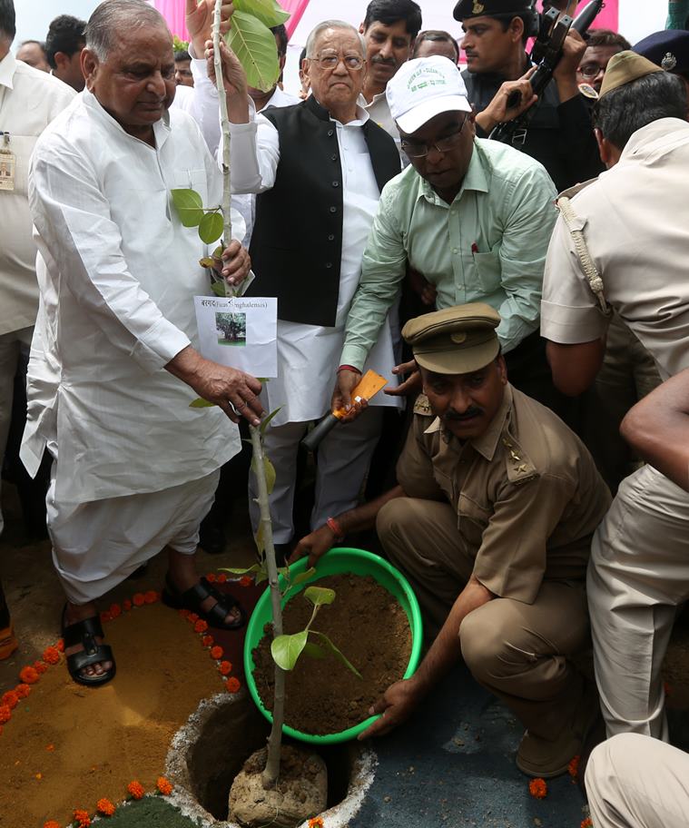 Mulayam Singh Yadav planting during a campaign drive organised by UP Government on Monday. (Source: Express photo by Vishal Srivastav)