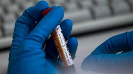 Russian athletes, Russian athletes news, Russian athletes updates, Sochi Olympics, WADA, WADA news, sports news, sports