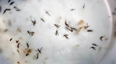 US declares health emergency in Puerto Rico due to Zika
