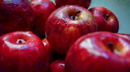 apples, apples harvest, apples this year, apples himachal pradesh, apples quality, himachal pradesh apples, himachal pradesh news, india news