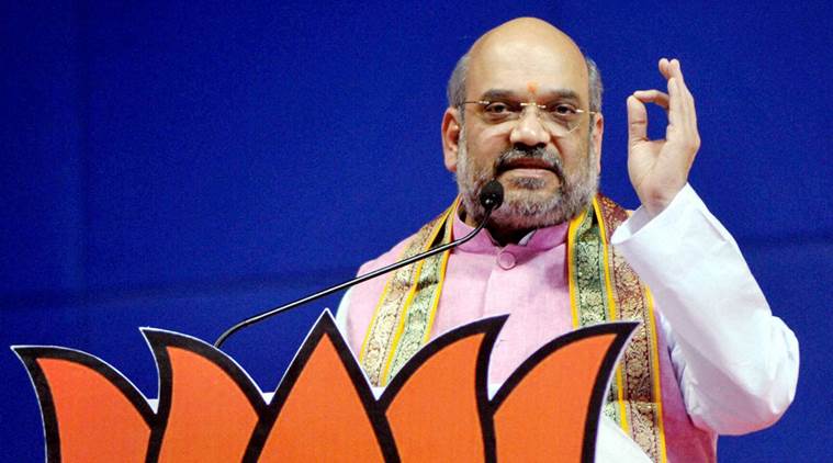 BJP, Amit Shah, BJP chief, Rajya sabha, MPs, Members of Parliament, Lok sabha seats, lok sabha, adopt constituencies, BJP news, India news