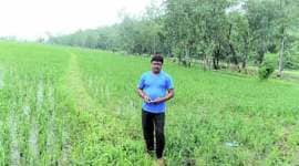 basmati gi tag, basmati rice, basmati rice madhya pradesh, basmati punjab, judgement day, madras high court, all india rice exporters association,geographical indication (gi) label, basmati rice, all india rice exporters association, india news, latest news