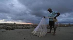 Silver scales and survival ladders: the hilsa recipe