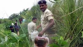 up liquor death, up hooch death, liquor death up, five die in up, up hooch tragedy, india news