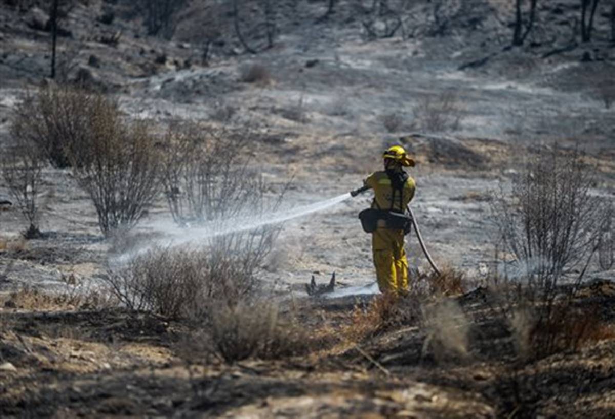 california fire, fire in california, US, blue cut fire, southern California, US forest fire, US wild fire, US fire, Cajon Pass, Bluecut Fire, Northern California wildfire, US news, LAtest news, world news, International news