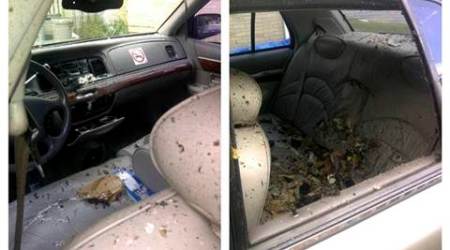 bomb parts export, singapore man bomb exports, iraq bomb exports, world news, indian express