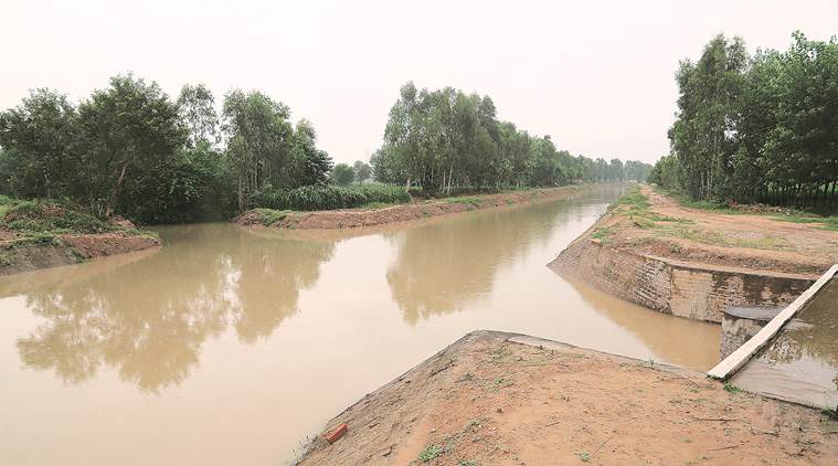 The Dadupur-Nalvi canal that feeds water to the river.