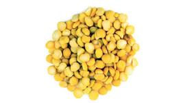 Chana dal, Chana Daal, maharashtra daal prices, Daal prices in maharashtra, Diwali news, latest news, India news, latest Maharashtra news