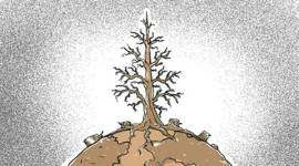 deforestation, Rainfall, Rainfall In India, India,India rainfall, India mOnsoon, Monsoon in India, IIT, IIt Bombay, india news