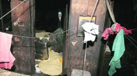 delhi, delhi blast, delhi bakery blast, delhi bakery, bakery blast, delhi oven explosion, oven explosion, delhi news