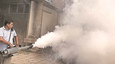 delhi, dengue epidemic delhi, dengue in delhi, delhi dengue deaths, delhi monsoon dengue, delhi dengue scare, delhi high court on dengue, delhi news