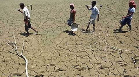 Small Farmers Most Prone To Suicide, Show Government Data | Explained ...