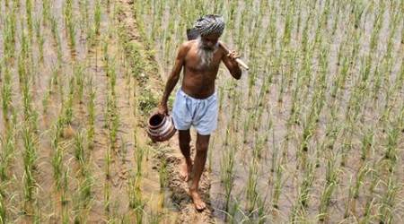 Congress , telangana, telangana congress, TRS, TRS governmnet, Telangana TRS, Telangana farmers, Telangana crop loan, Congress farmers issue, india news, indian express