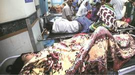 delhi, chikungunya, chikungunya case, dengue, dengue cases, dengue cases delhi, chikungunya cases delhi, government hospitals delhi, max hospital delhi, india news, delhi news