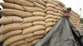 bjp haryana, haryana confed to shut, haryana confed shuts, Haryana State Federation of Consumers’ Cooperative Wholesale Stores Limited, punjab cooperative societies act, confed punjab, punjab news, punjab foodgrains, punjab and haryana news, india news