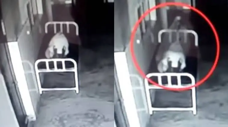 Watch: Creepy Video Footage Shows 'Soul' Leaving A Body In A China Hospital | Trending News,The Indian Express
