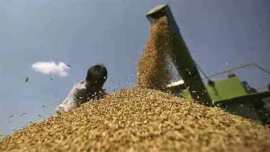 Public Distribution System, PDS, freed subsidy, replacing PDS with cash transfers, cash transfers, subsidised goods, welfare programmes, MGNREGS, BPL households, PDS for BPL families, india news