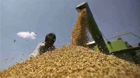 Public Distribution System, PDS, freed subsidy, replacing PDS with cash transfers, cash transfers, subsidised goods, welfare programmes, MGNREGS, BPL households, PDS for BPL families, india news