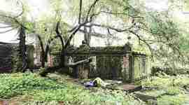 burial spaces, mumbai, mumbai burial spaces, shortage burial spaces, burial spaces shortage, bmc, bombay high court, indian express news, mumbai news