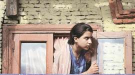 kashmir 480 kashmir, burhan wani death, Anil Baijal, anil baijal j&k, j&k governor, nn vohra, Vivekananda International Foundation, narendra modi, mehbooba mufti, kashmir unrest, kashmir protests, india news