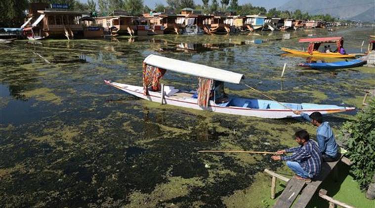 kashmir, burhan wani, burhan wani death, kashmir violence, kashmir protests, burhan wani killing, mehbooba mufti, hizbul mujahideen, hizbul, hizbul commander, hizbul militant, afzal guru, kashmir violence, kashmir valley, jammu kashmir news, kashmir news, india news