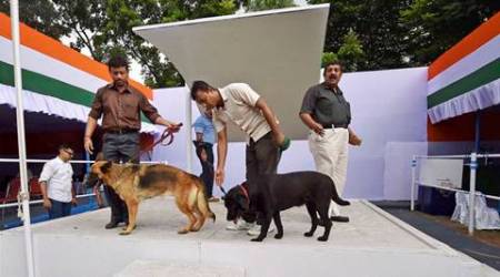 independence day, kolkata independence day, independence day security, independence day arrangements, india news, kolkata news