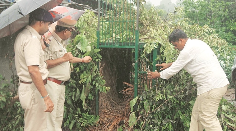  leopard, leopard kills two, thane leopard, leopard kills in thane, murbad leopard killing, save animals, man eater leopard, indian express news, mumbai, mumbai news, india news