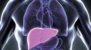 An Egyptian lesson in India’s fight against growing Hepatitis