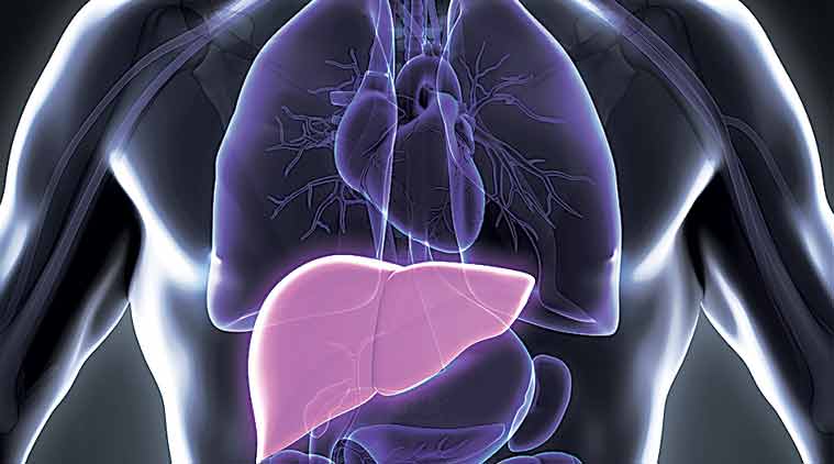 hepatitis, hepatitis c, hepatitis b, hepatitis india, hepatitis in india, cause of hepatitis, hepatitis cure, is hepatitis dangerous, dangers of hepatitis, dangers of hepatitis c